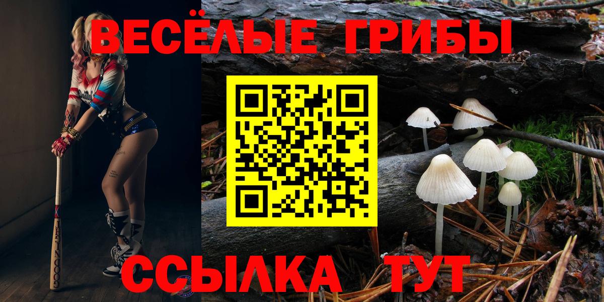 Псилоцибиновые грибы MAGIC MUSHROOMS  Псилоцибиновые грибы прущие грибы  Вход с VPN  Ковров 