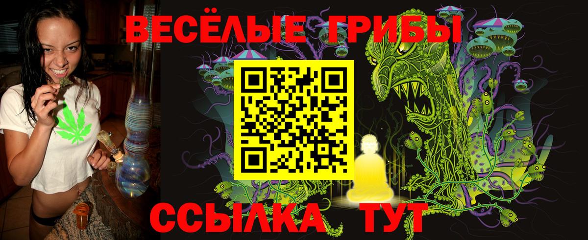Псилоцибиновые грибы прущие грибы Ковров